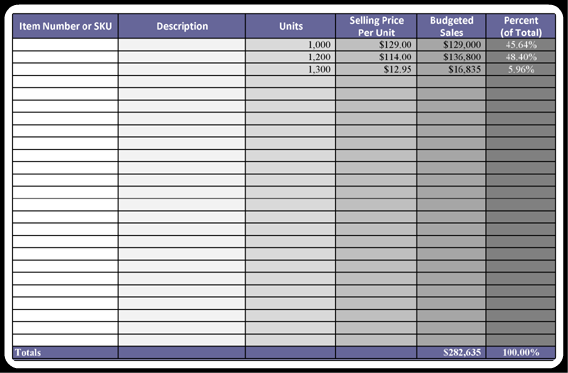 Sales Budget Format