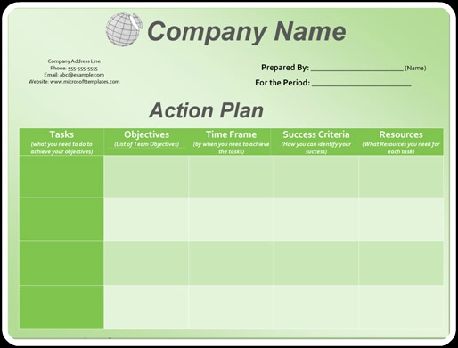 Action Plan Format