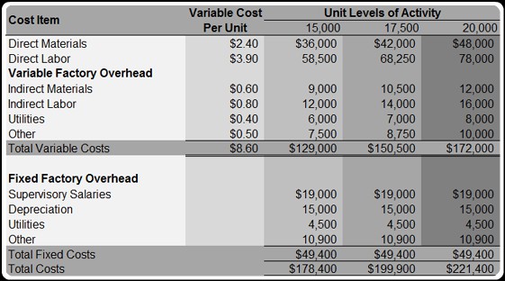 Flexible Budget Format