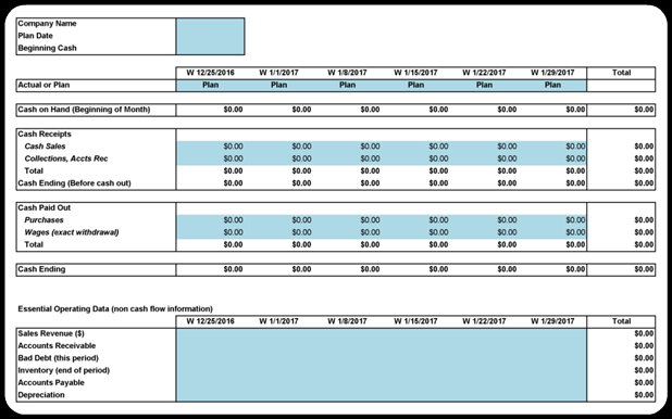 Cash Flow Analysis Form